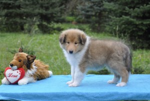 _DSC0776